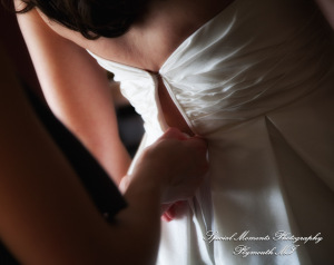 Theodore & Jamie at Wellers Carriage House Saline MI wedding photograph