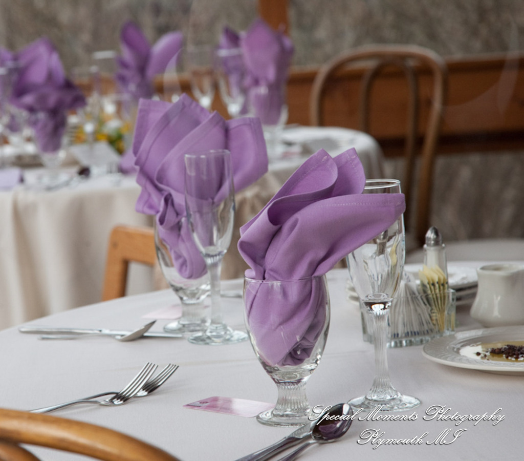 Theodore & Jamie at Wellers Carriage House Saline MI wedding photograph