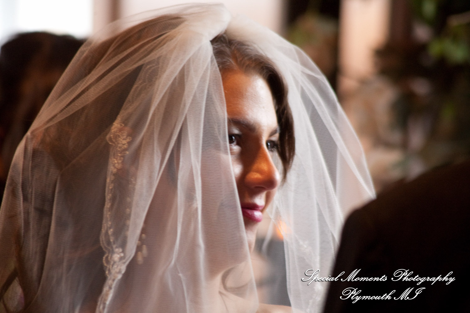 Theodore & Jamie at Wellers Carriage House Saline MI wedding photograph