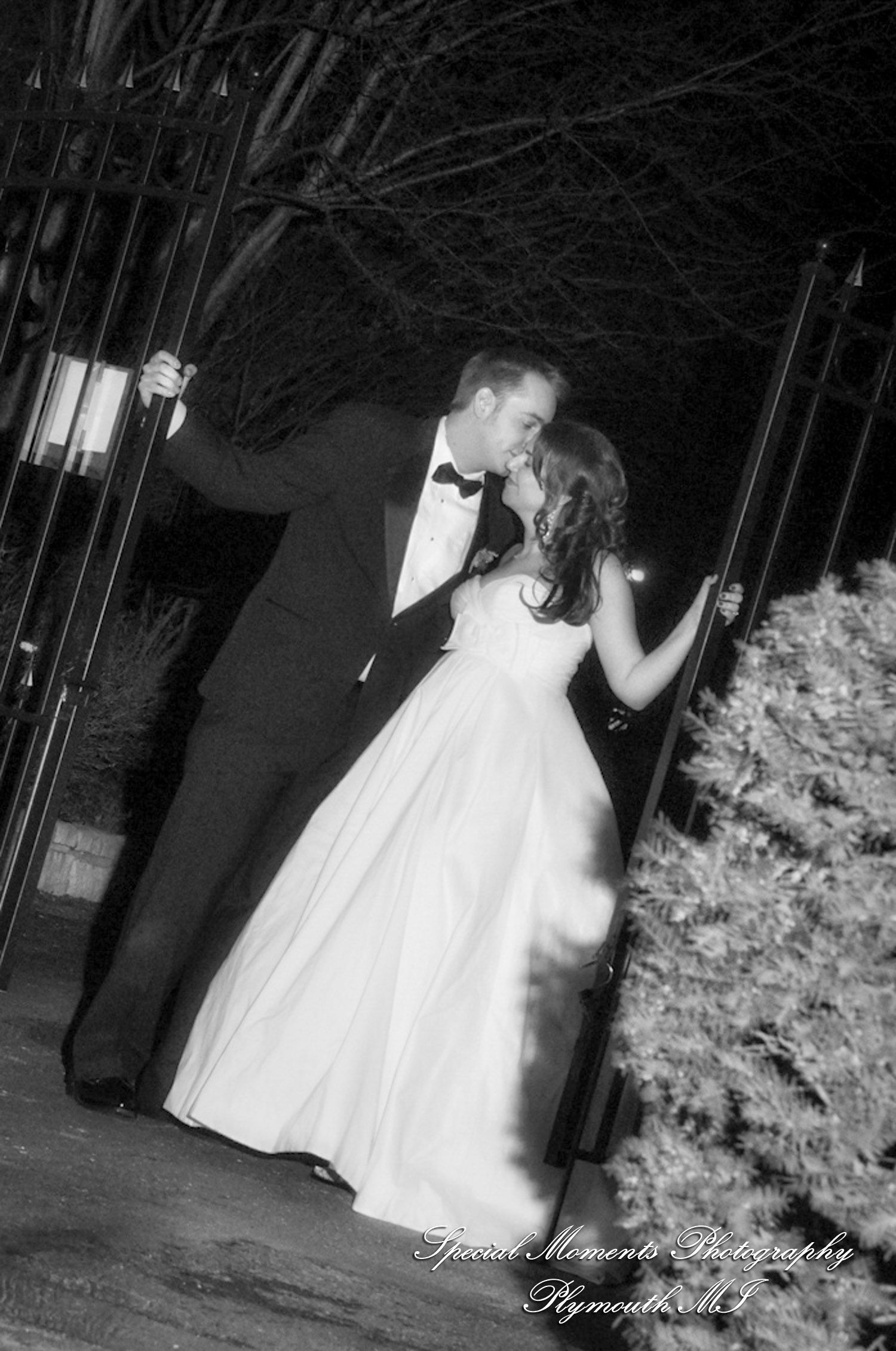 Theodore & Jamie at Wellers Carriage House Saline MI wedding photograph