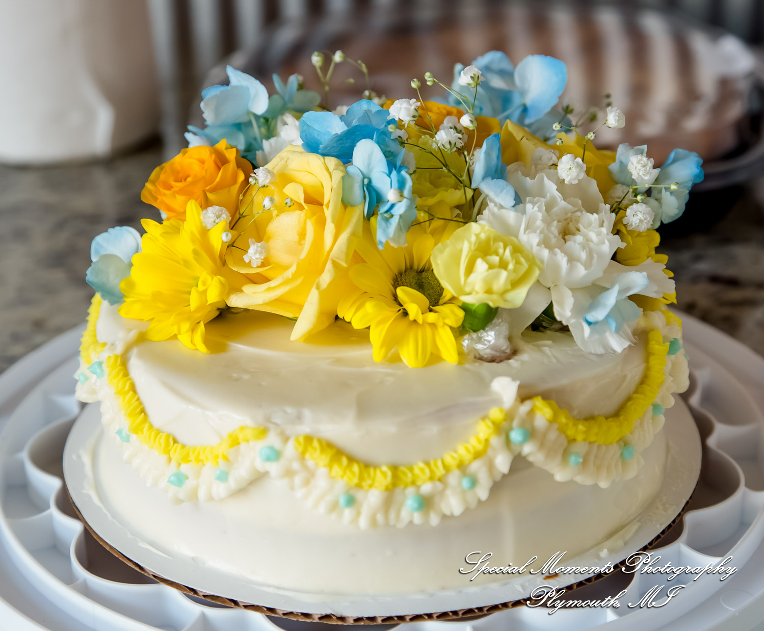 Home wedding Romulus MI photograph