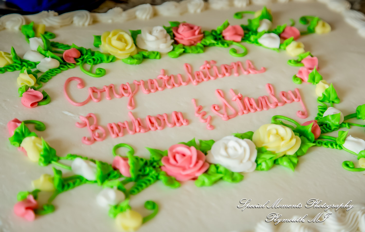 Home wedding Romulus MI photograph