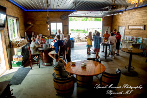 Home wedding Romulus MI photograph