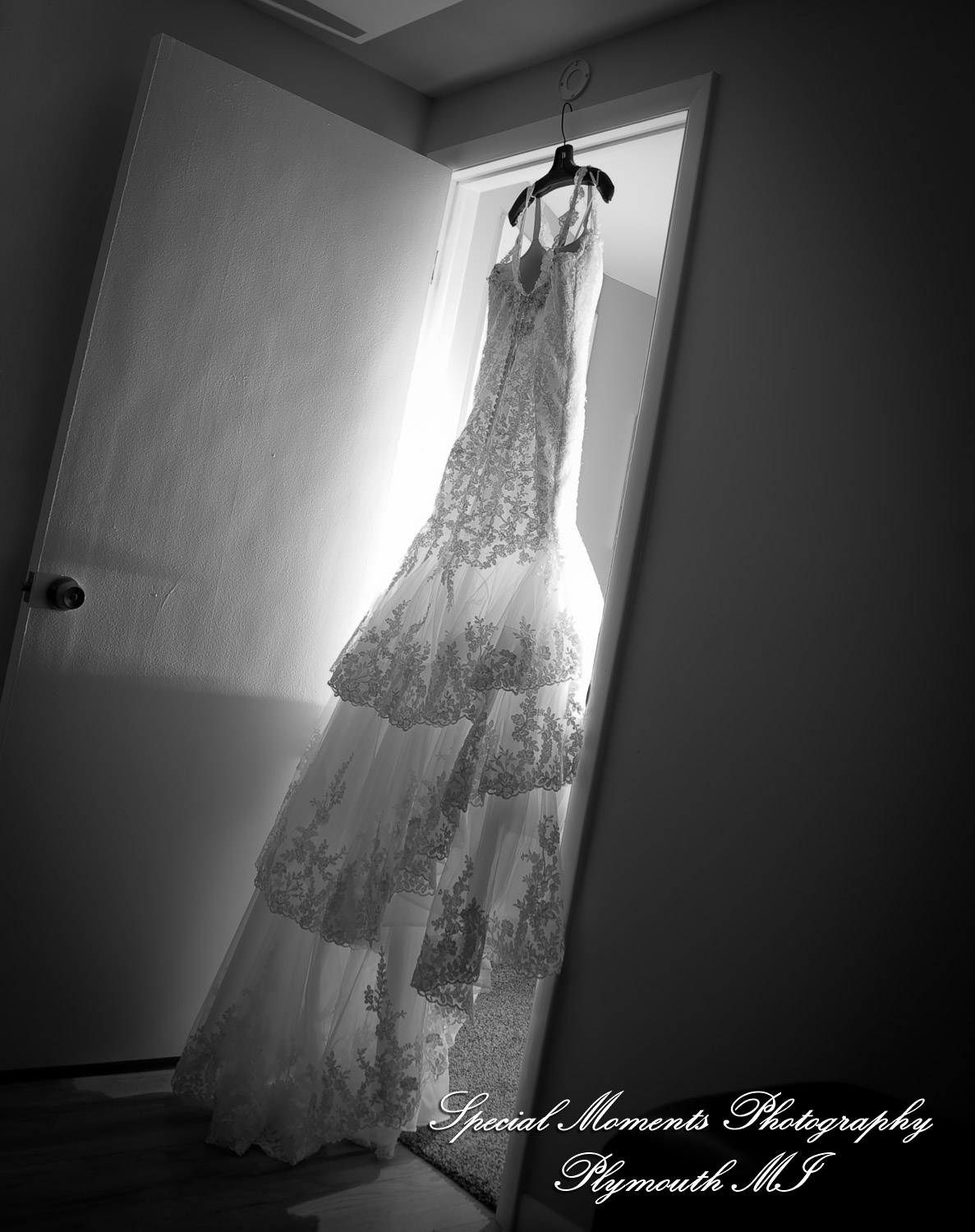 David & Steph at St. John Greek Orthodox Sterling Hts MI wedding photograph