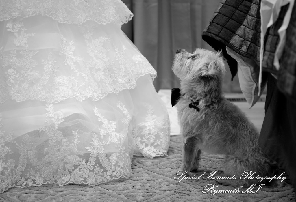 David & Steph at St. John Greek Orthodox Sterling Hts MI wedding photograph