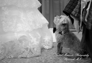 David & Steph at St. John Greek Orthodox Sterling Hts MI wedding photograph