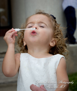 David & Steph at St. John Greek Orthodox Sterling Hts MI wedding photograph