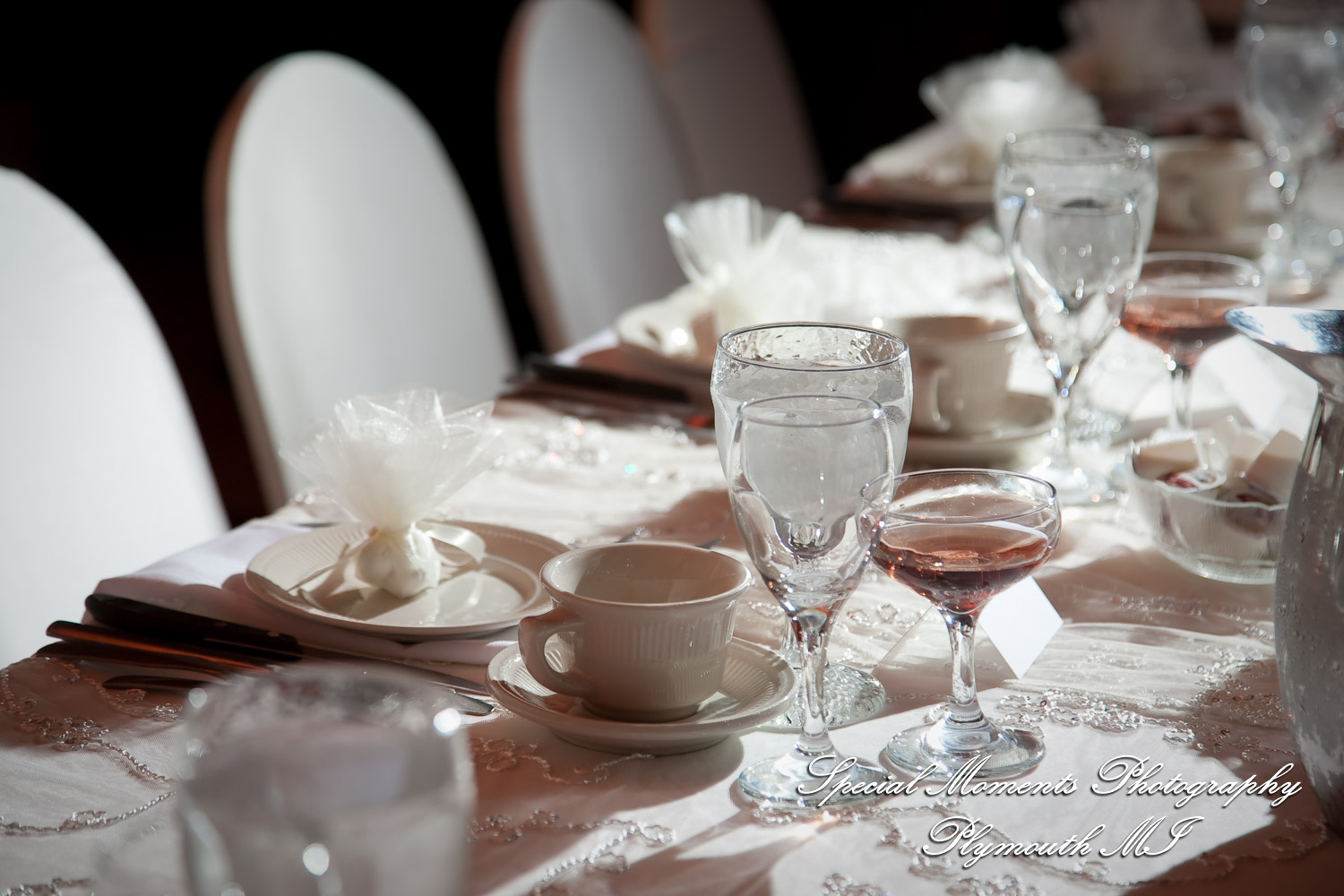 David & Steph at Larsa Palace Banquet Facility Warren MI wedding photograph