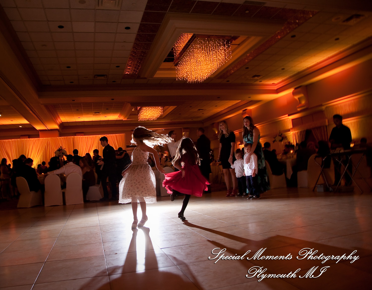 David & Steph at Larsa Palace Banquet Facility Warren MI wedding photograph