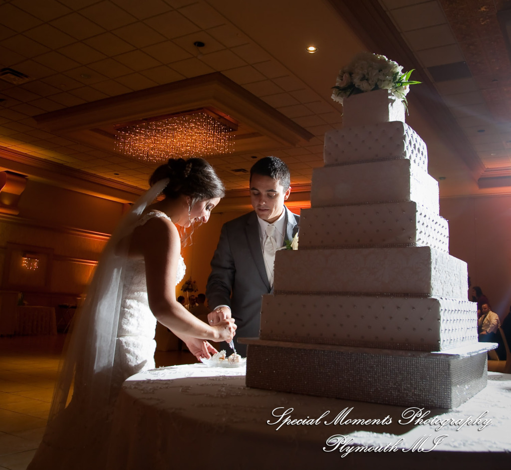 David & Steph at Larsa Palace Banquet Facility Warren MI wedding photograph