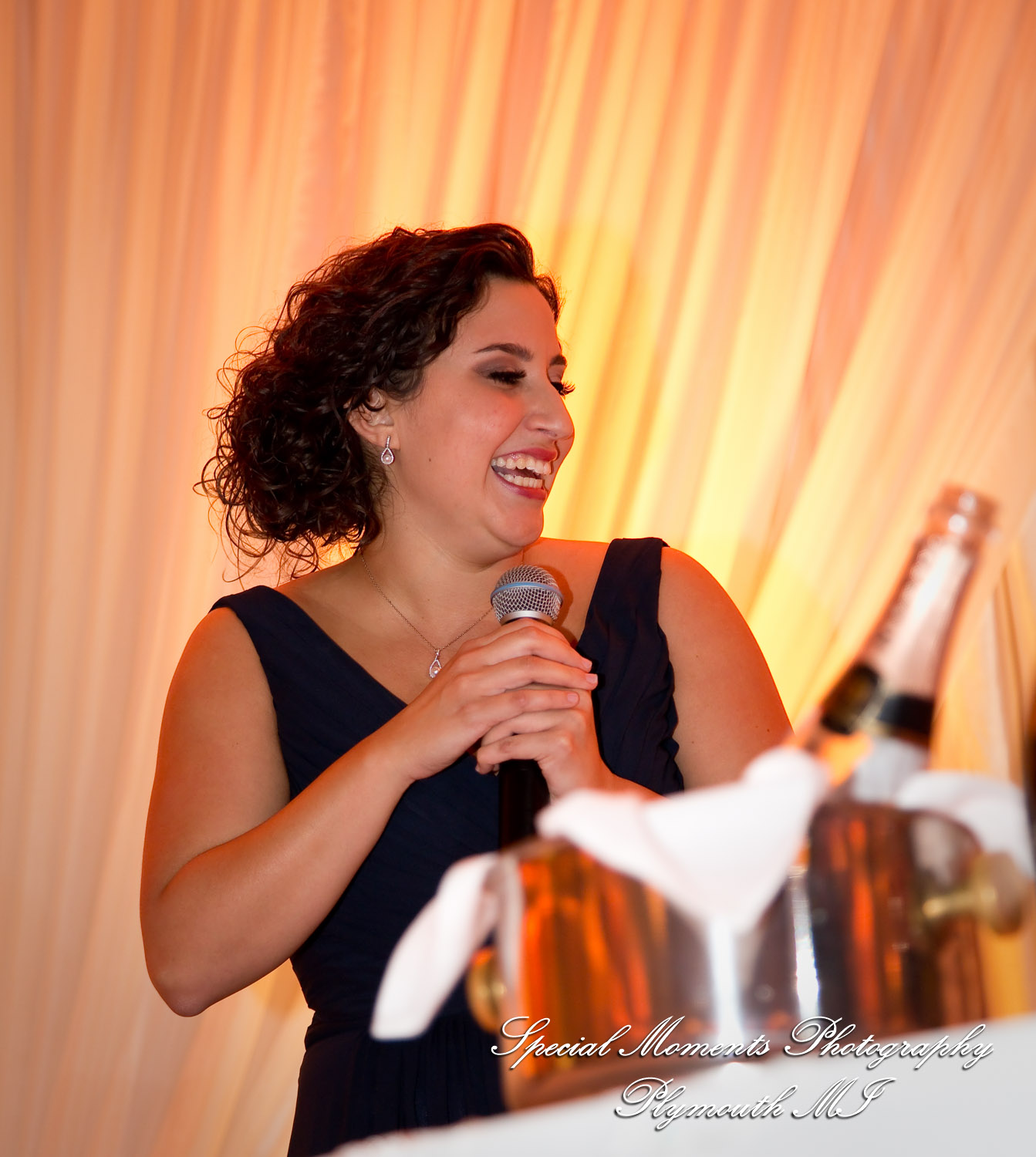 David & Steph at Larsa Palace Banquet Facility Warren MI wedding photograph