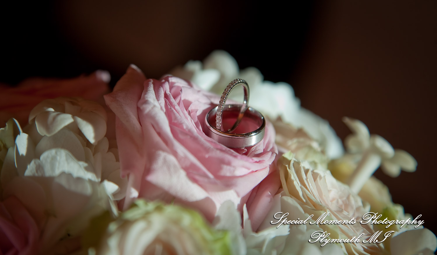 David & Steph at Larsa Palace Banquet Facility Warren MI wedding photograph