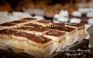 David & Steph at Larsa Palace Banquet Facility Warren MI wedding photograph