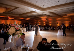 David & Steph at Larsa Palace Banquet Facility Warren MI wedding photograph