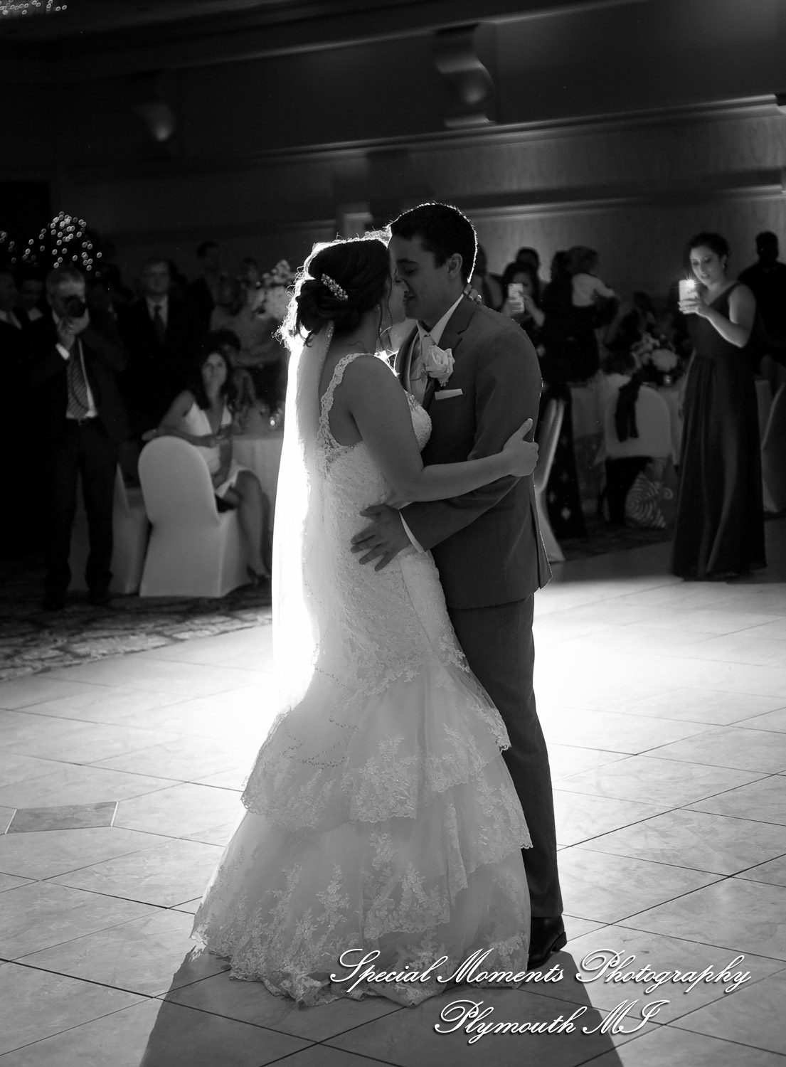 David & Steph at Larsa Palace Banquet Facility Warren MI wedding photograph