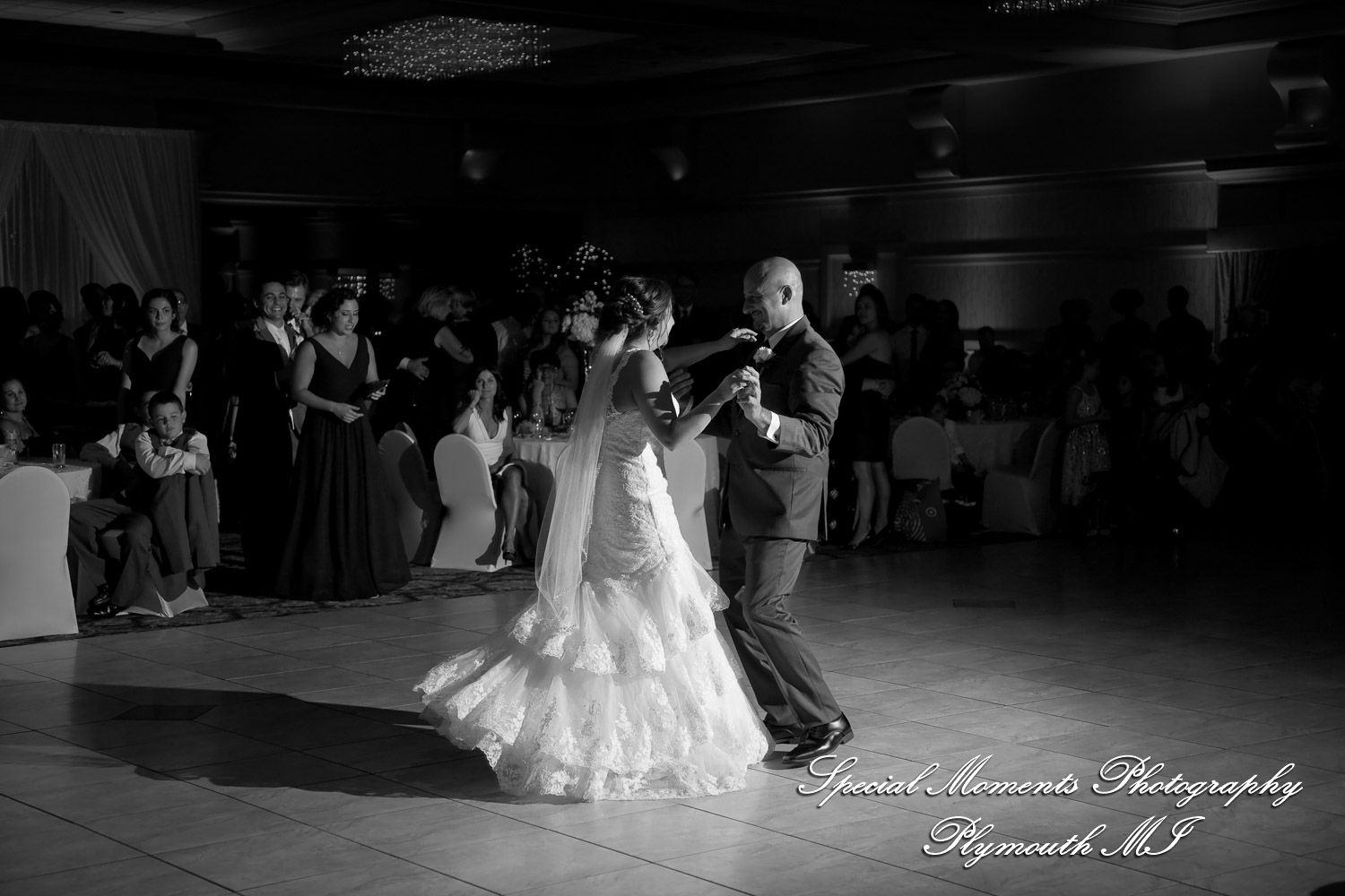 David & Steph at Larsa Palace Banquet Facility Warren MI wedding photograph