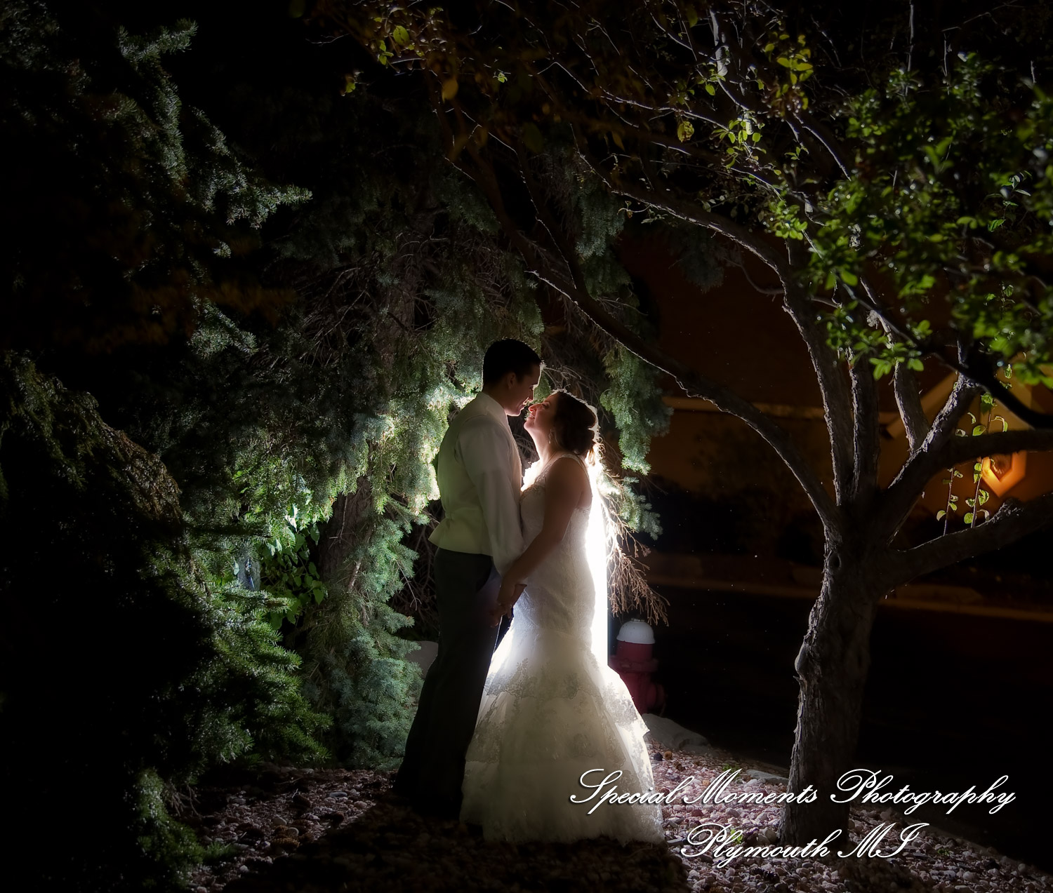 David & Steph at Larsa Palace Banquet Facility Warren MI wedding photograph