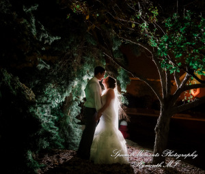 David & Steph at Larsa Palace Banquet Facility Warren MI wedding photograph