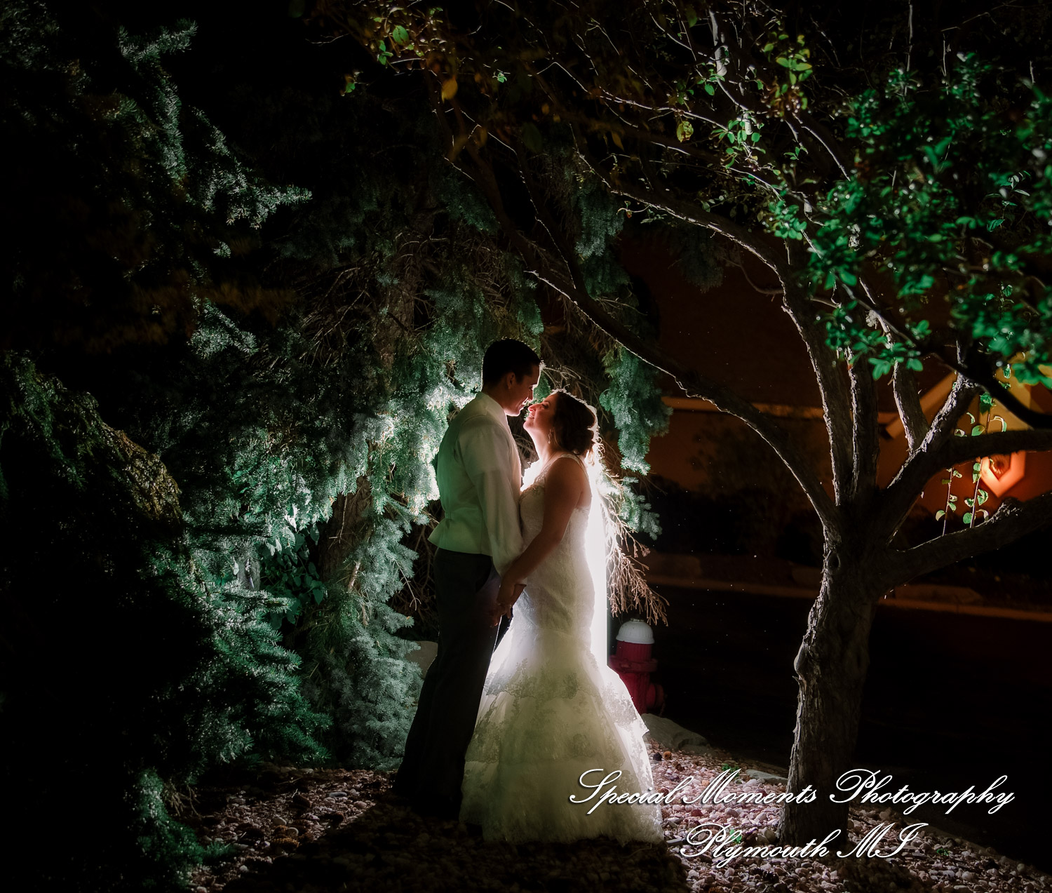 David & Steph at Larsa Palace Banquet Facility Warren MI wedding photograph