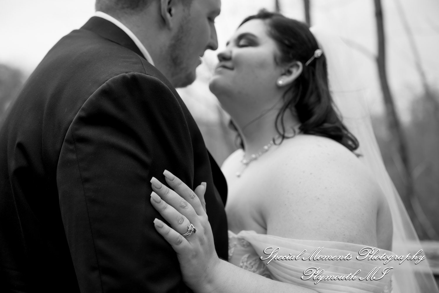 Sarah & Chad at Bloomfield Nature Preserve MI wedding photograph