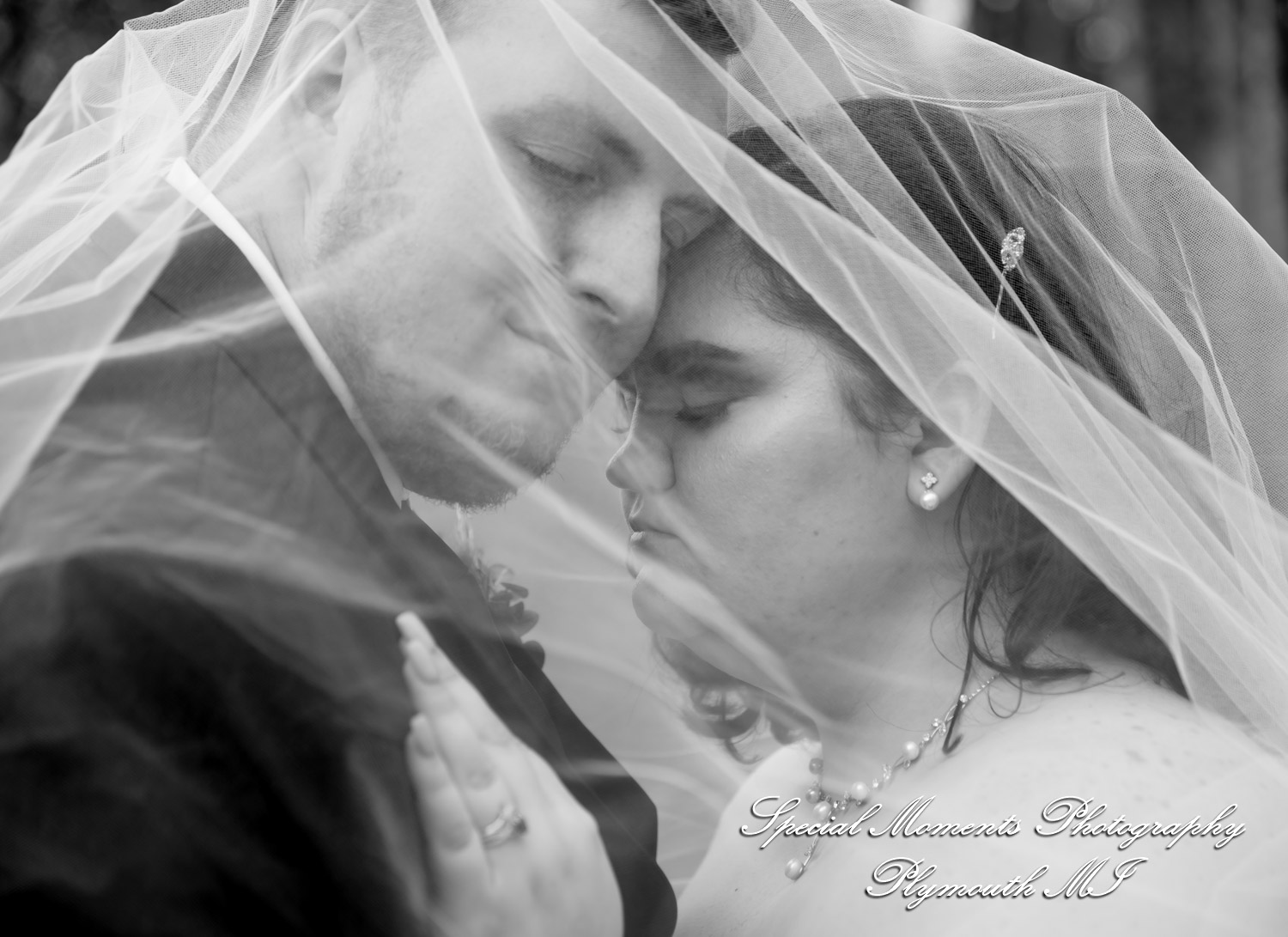 Sarah & Chad at Bloomfield Nature Preserve MI wedding photograph