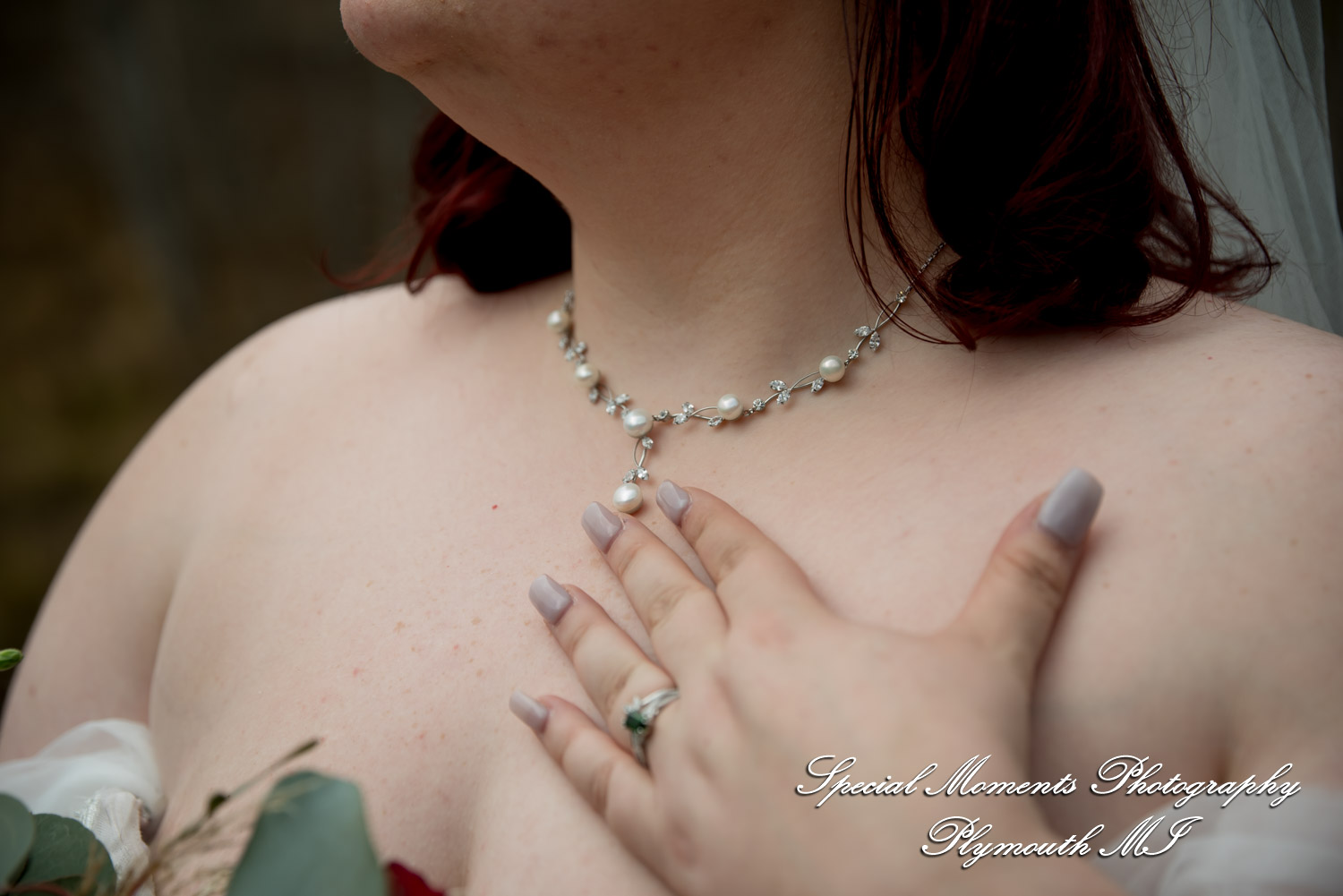 Sarah & Chad at Bloomfield Nature Preserve MI wedding photograph