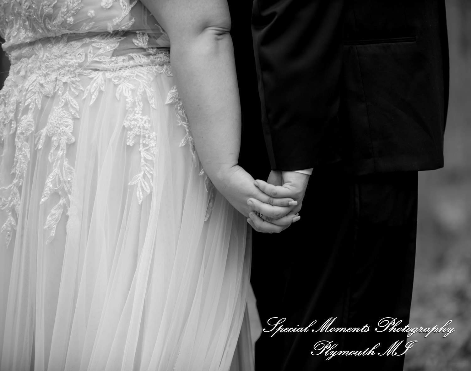 Sarah & Chad at Bloomfield Nature Preserve MI wedding photograph