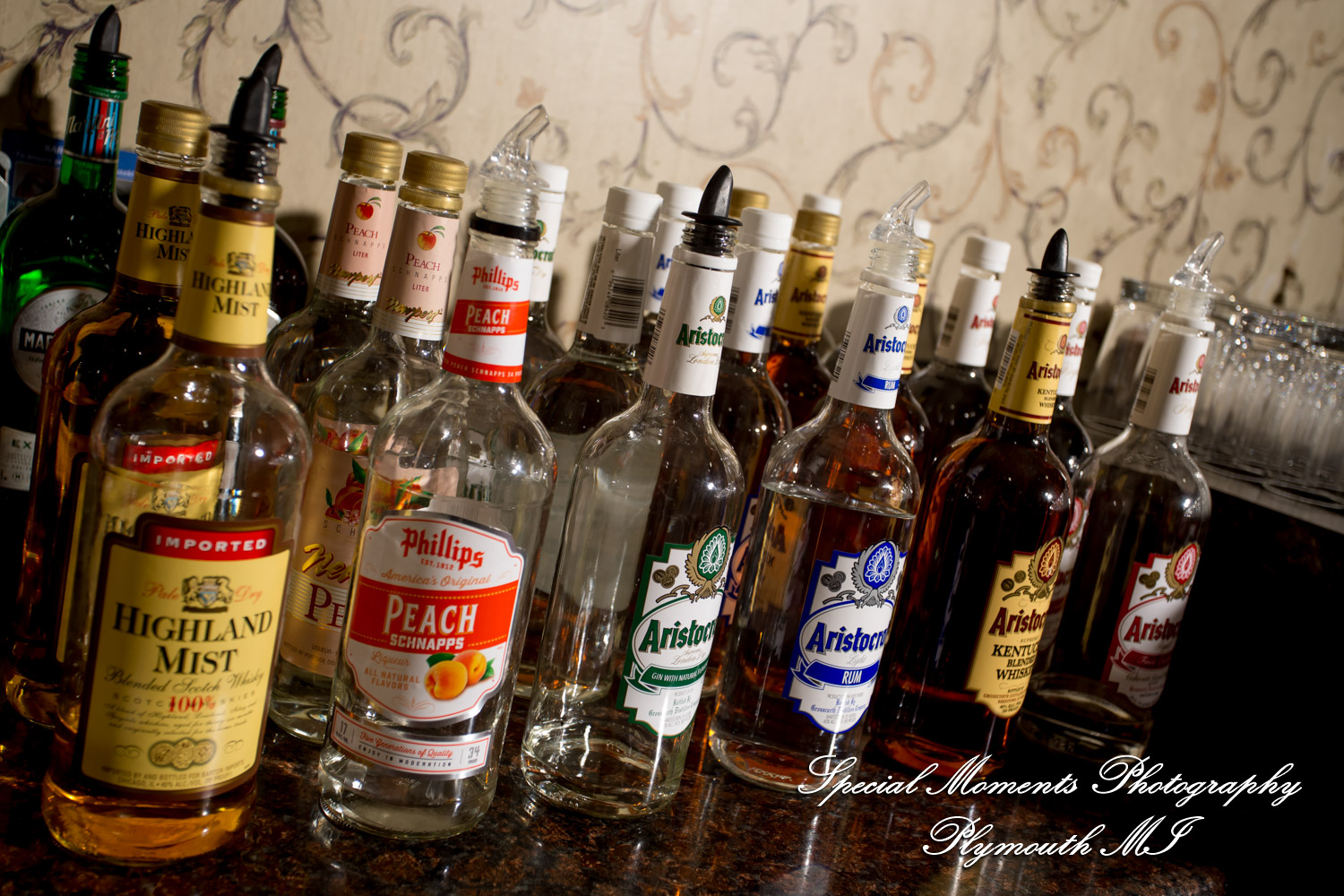 Sarah & Chad at Tina's Country House Macomb Township MI wedding photograph