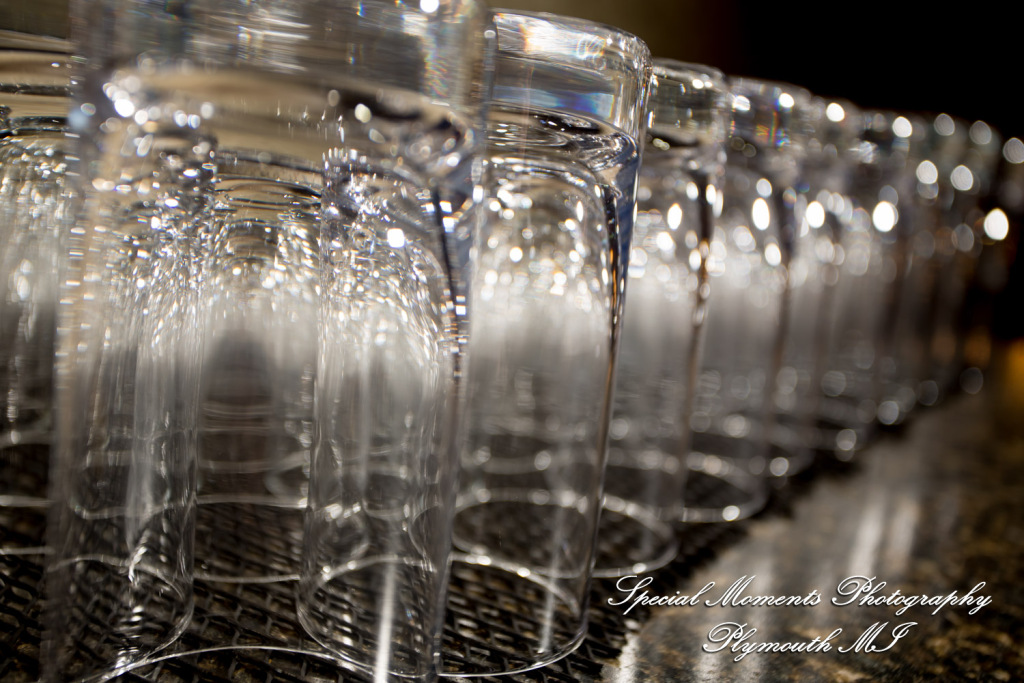 Sarah & Chad at Tina's Country House Macomb Township MI wedding photograph