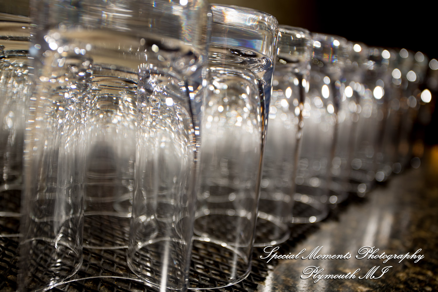 Sarah & Chad at Tina's Country House Macomb Township MI wedding photograph