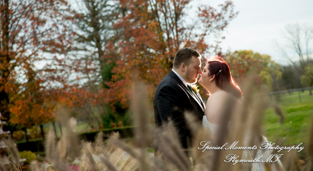 Sarah & Chad at Tina's Country House Macomb Township MI wedding photograph