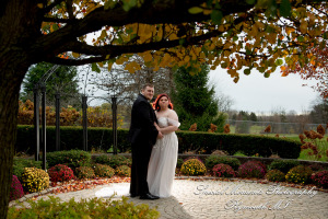 Sarah & Chad at Tina's Country House Macomb Township MI wedding photograph