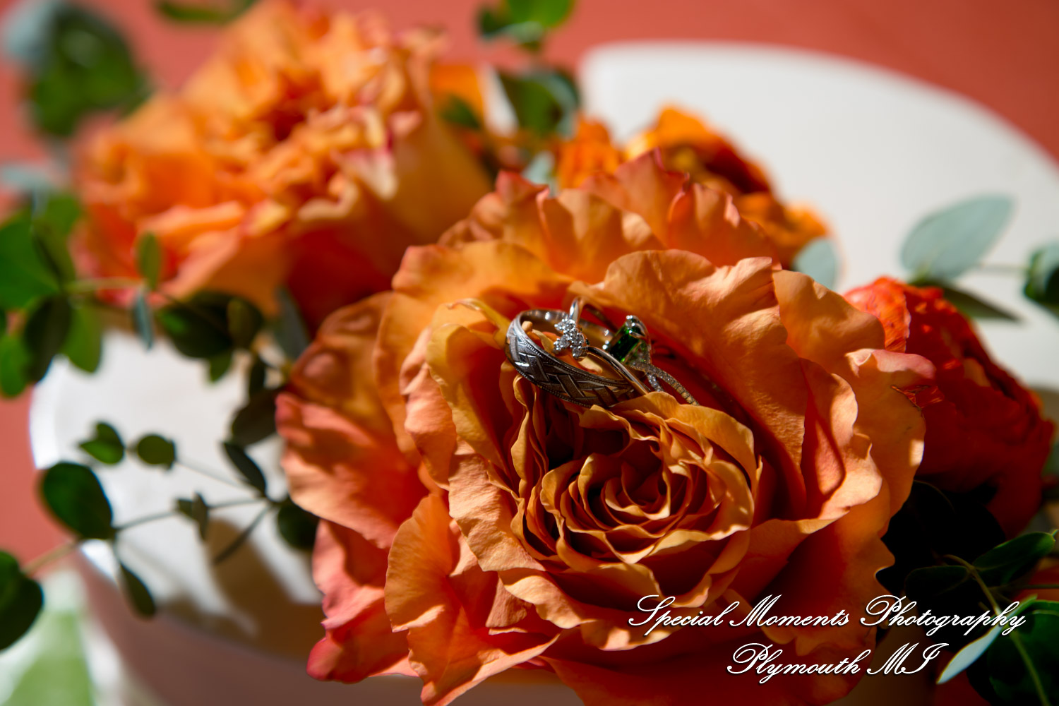 Sarah & Chad at Tina's Country House Macomb Township MI wedding photograph