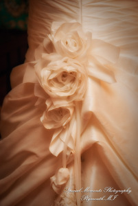 Sean & Bin at St. Joseph Lake Orion MI wedding photograph