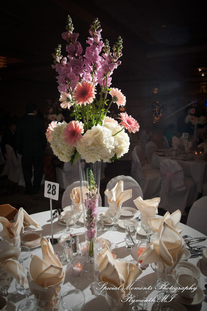 Sean & Bin at Larsa Palace Banquet Facility Warren MI wedding photograph