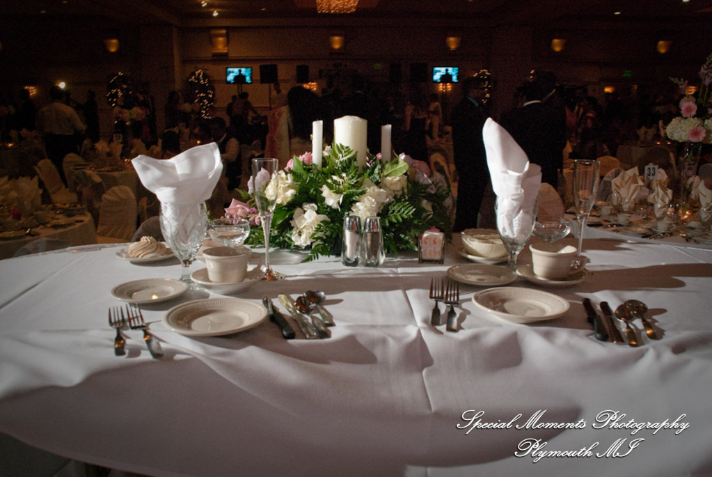 Sean & Bin at Larsa Palace Banquet Facility Warren MI wedding photograph