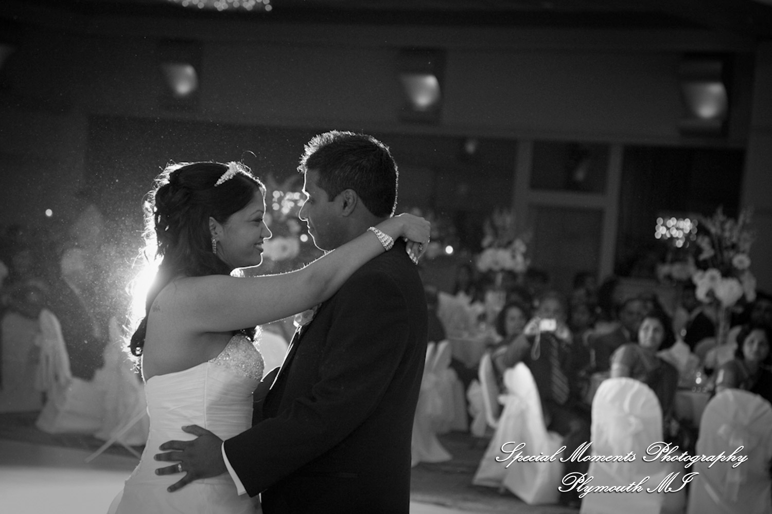 Sean & Bin at Larsa Palace Banquet Facility Warren MI wedding photograph