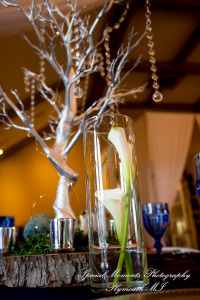 Ashley & Charles at Castle Farms Charlevoix MI wedding photograph