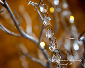 Ashley & Charles at Castle Farms Charlevoix MI wedding photograph