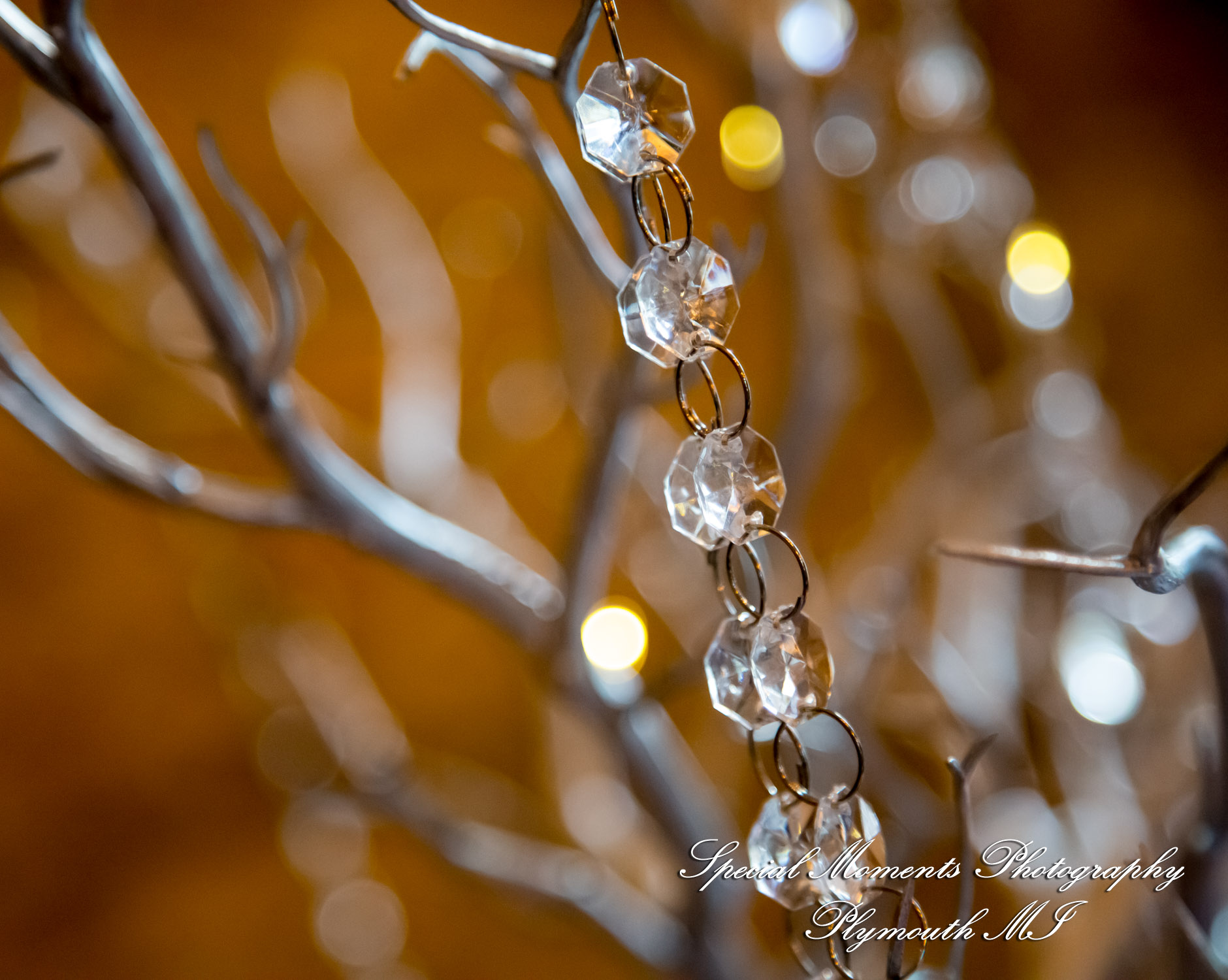 Ashley & Charles at Castle Farms Charlevoix MI wedding photograph