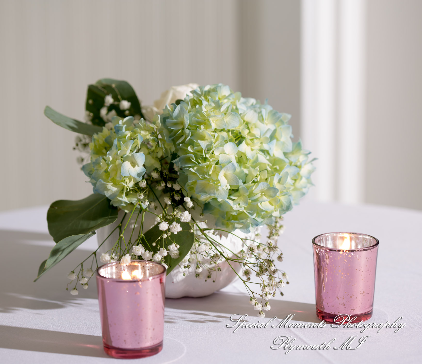 Natasha & Daniel at Sylvan Lake Community Center Sylvan Lake MI wedding photograph