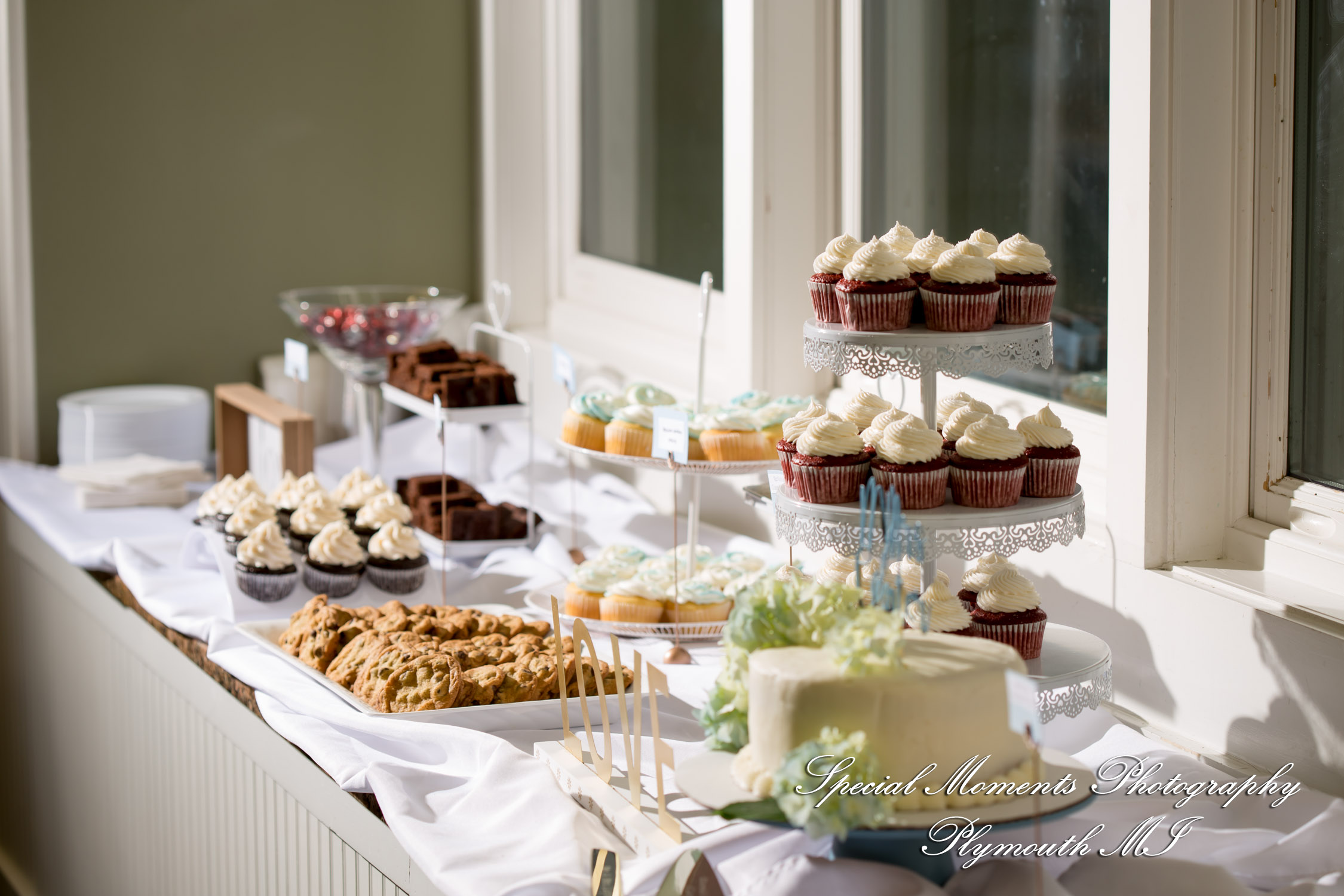 Natasha & Daniel at Sylvan Lake Community Center Sylvan Lake MI wedding photograph