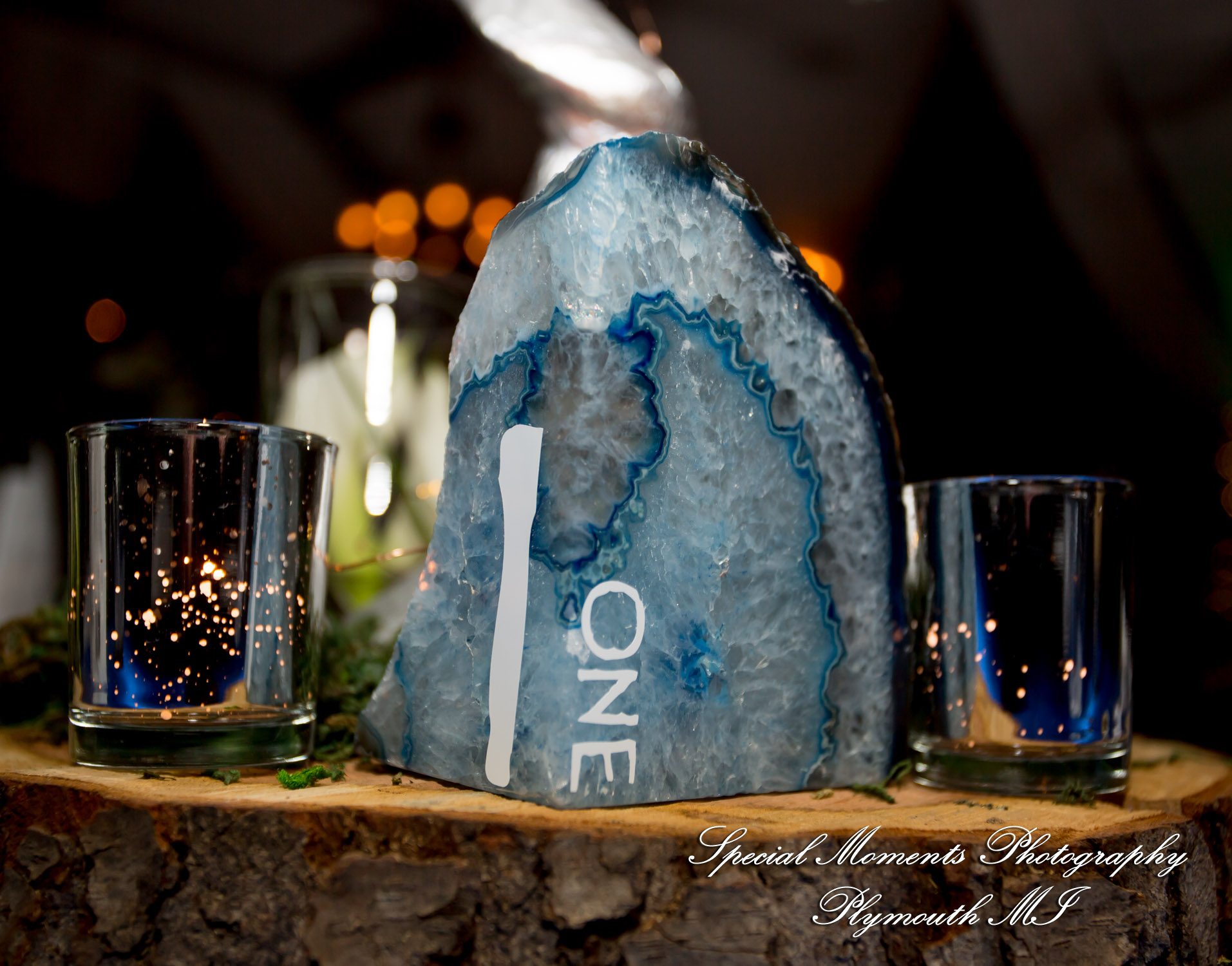 Ashley & Charles at Castle Farms Charlevoix MI wedding photograph