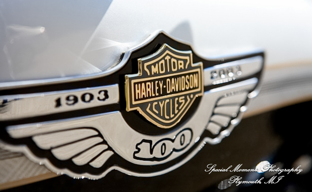 Kam & Jim at Robert H Long Park Commerce Twp MI engagement photograph