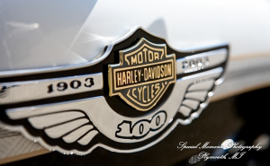 Kam & Jim at Robert H Long Park Commerce Twp MI engagement photograph