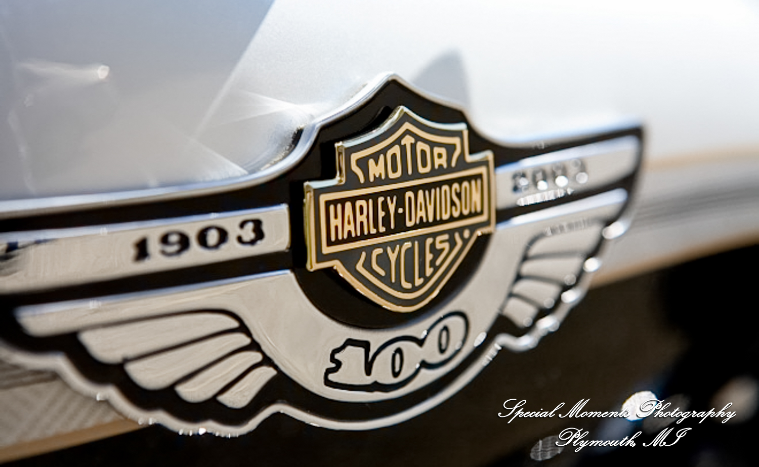 Kam & Jim at Robert H Long Park Commerce Twp MI engagement photograph