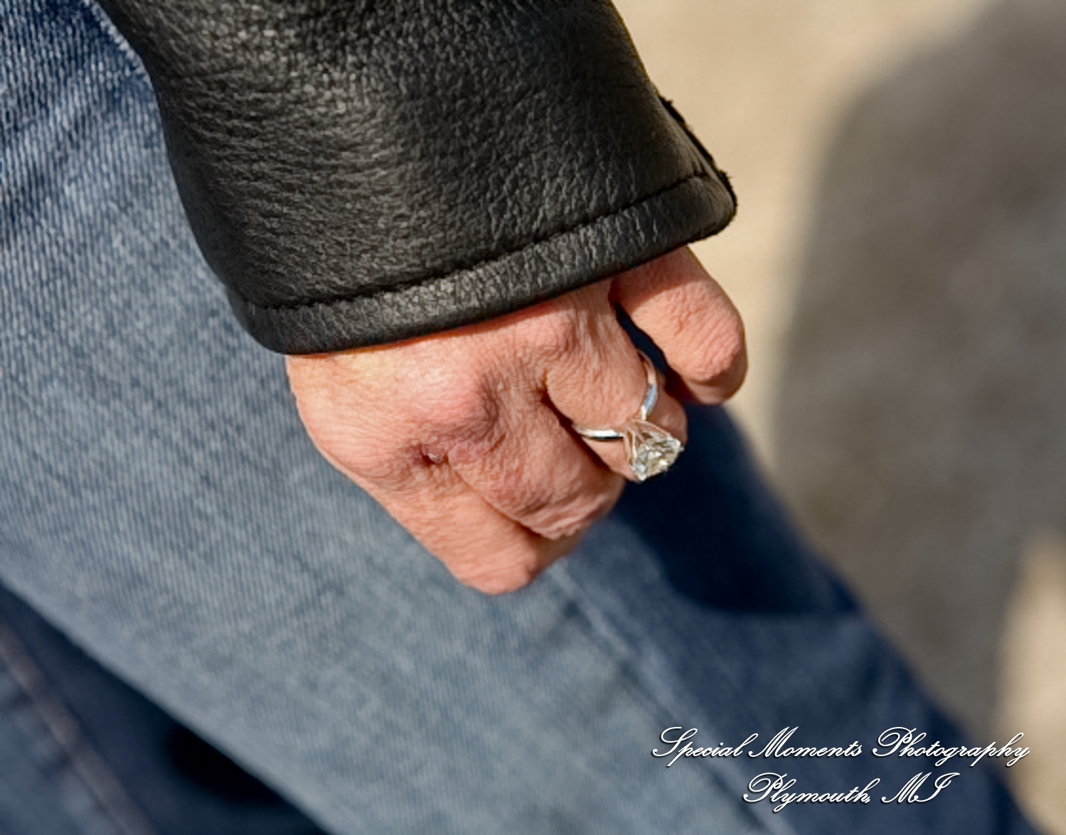 Kam & Jim at Robert H Long Park Commerce Twp MI engagement photograph