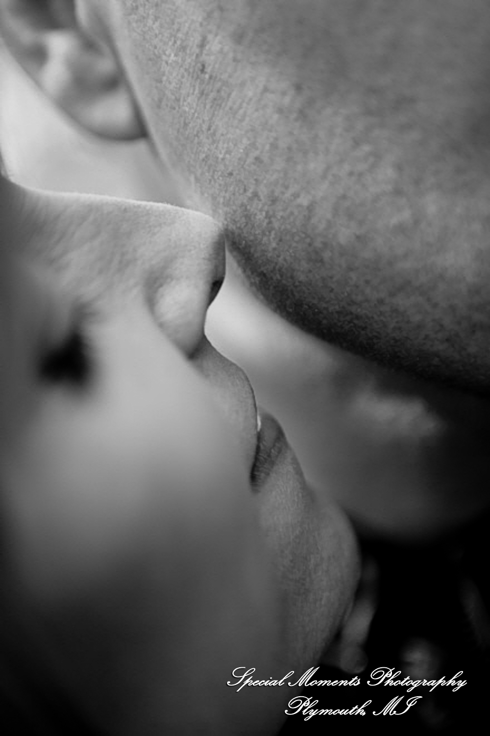 Kam & Jim at Robert H Long Park Commerce Twp MI engagement photograph