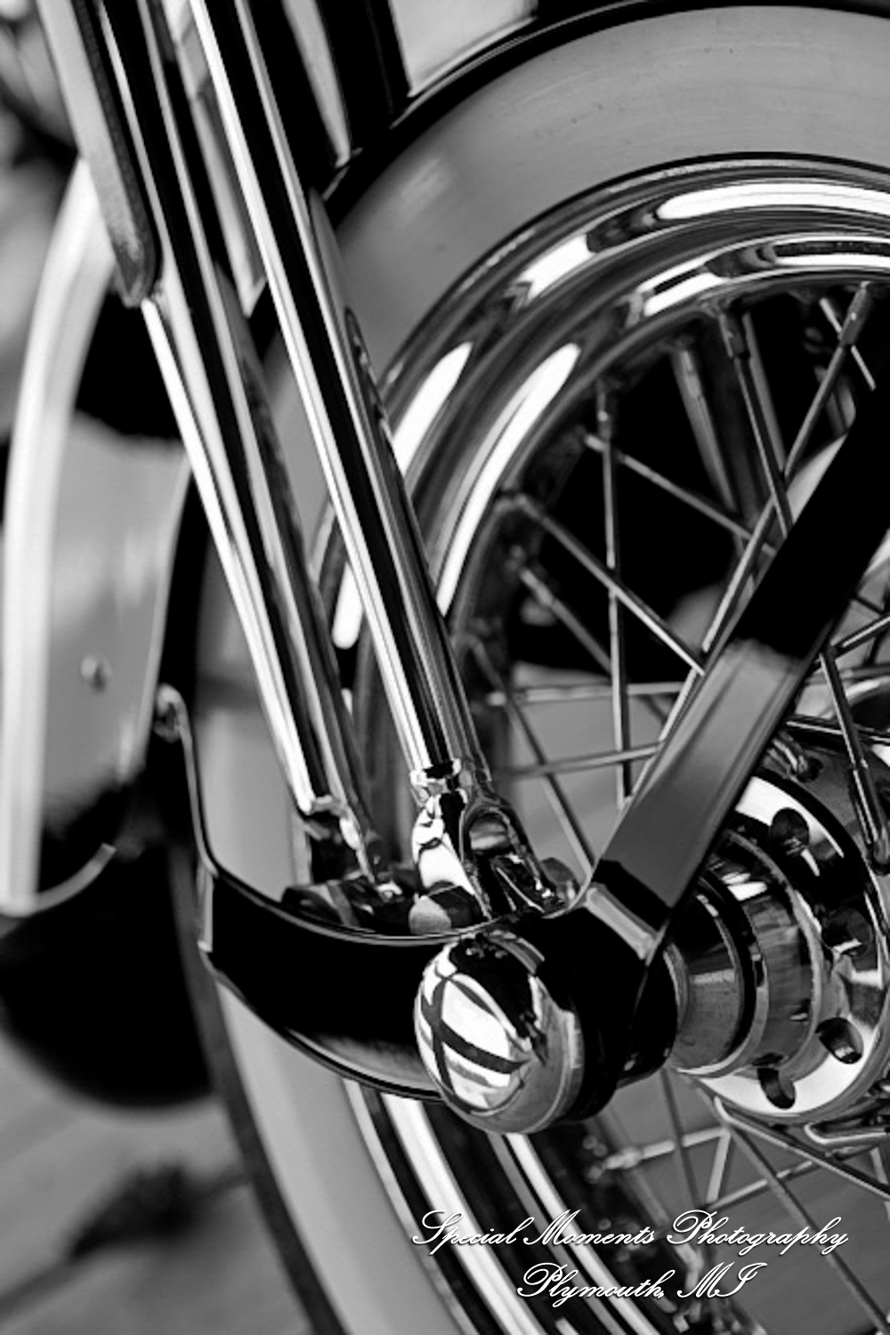 Kam & Jim at Robert H Long Park Commerce Twp MI engagement photograph