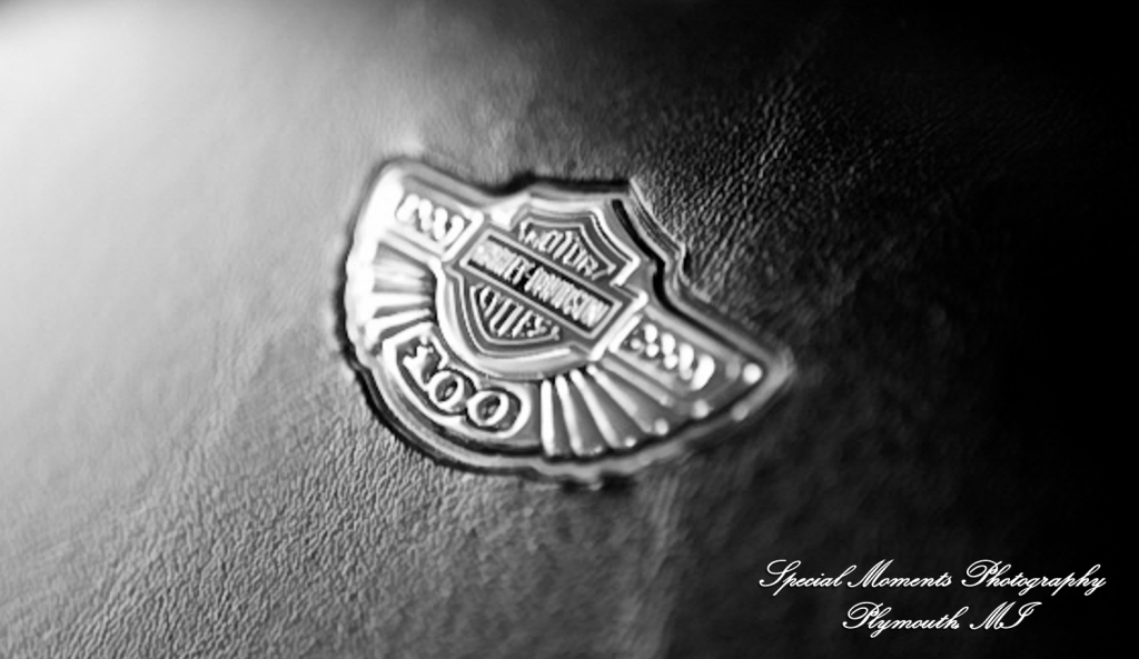 Kam & Jim at Robert H Long Park Commerce Twp MI engagement photograph